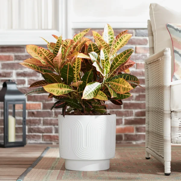 Gardens Pottery 12" Amy Ceramic Planter, White - Image 2